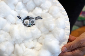 Варна - Инициатива „Четене без граници”