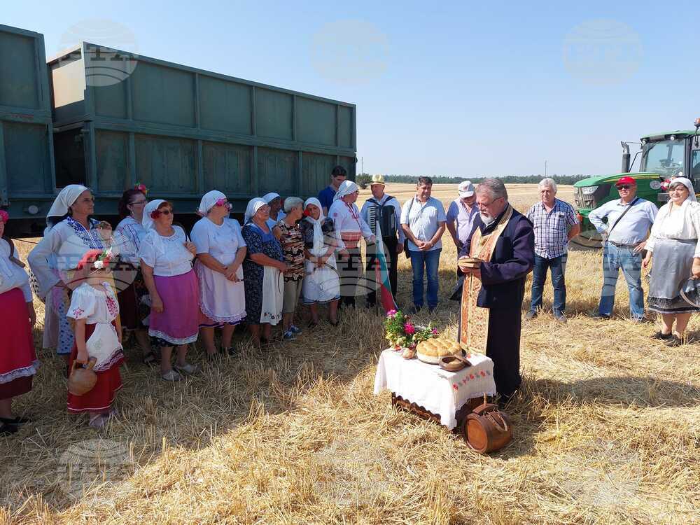 Ритуал „Първа жътва“ проведоха днес в силистренското село Гарван