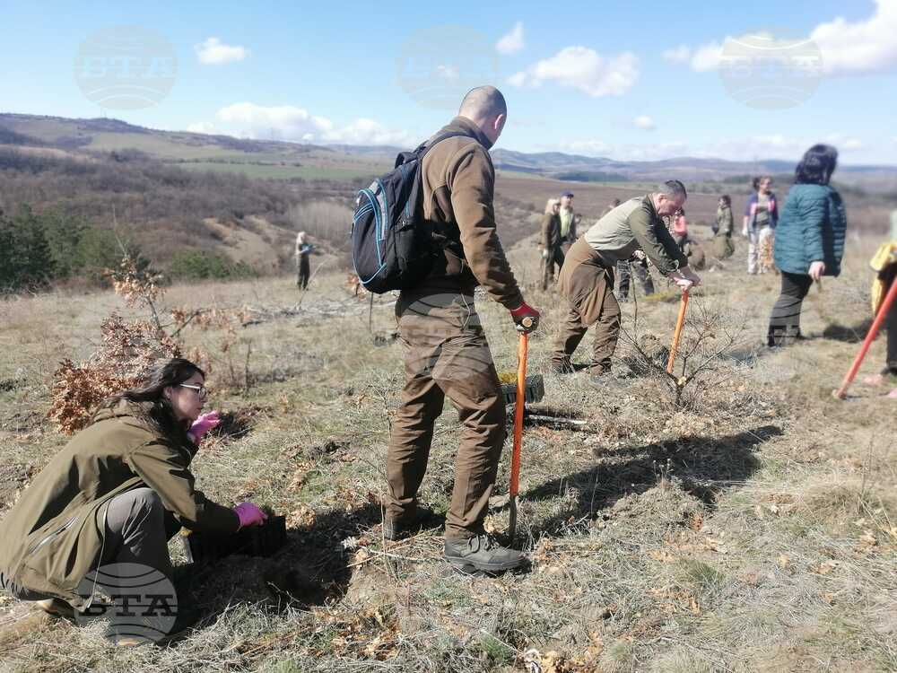 Горски служители залесяваха в землищата на селата Златуша и Локорско