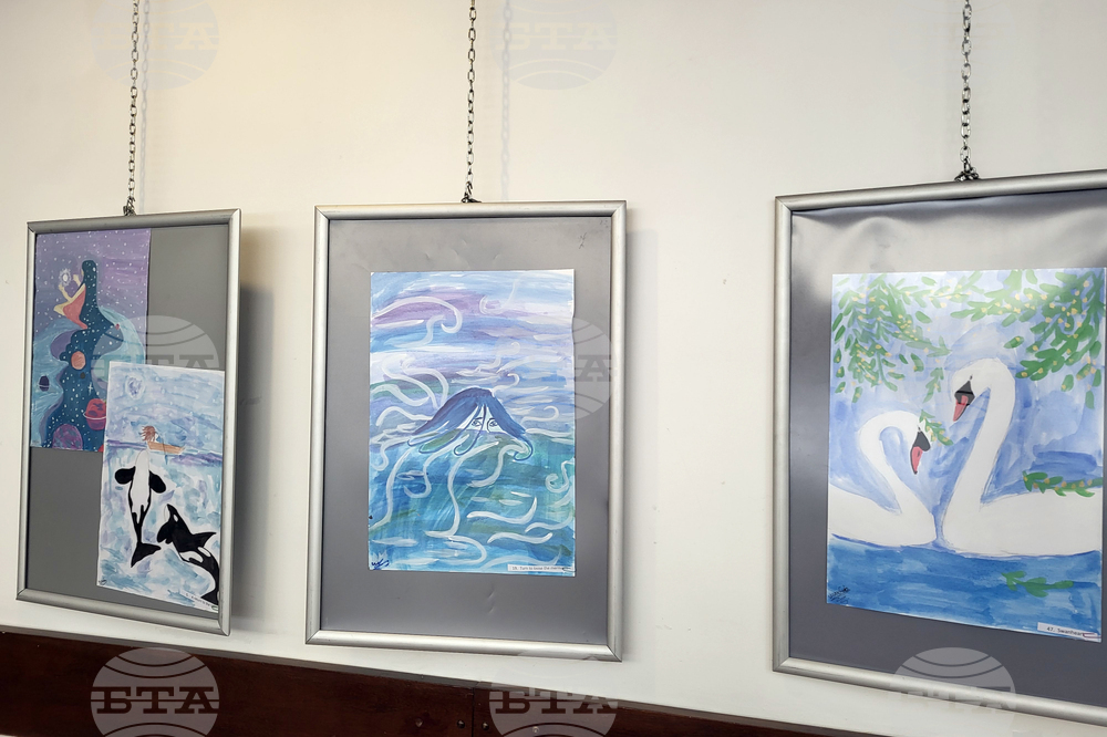 Самоков - изложба - Виктория Чипова