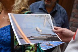 Протест - Боянско блато