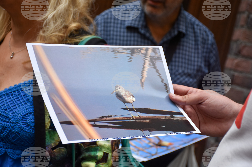 Протест - Боянско блато