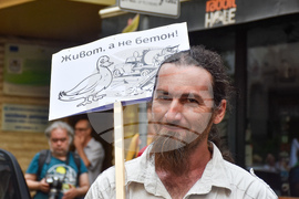 Протест - Боянско блато