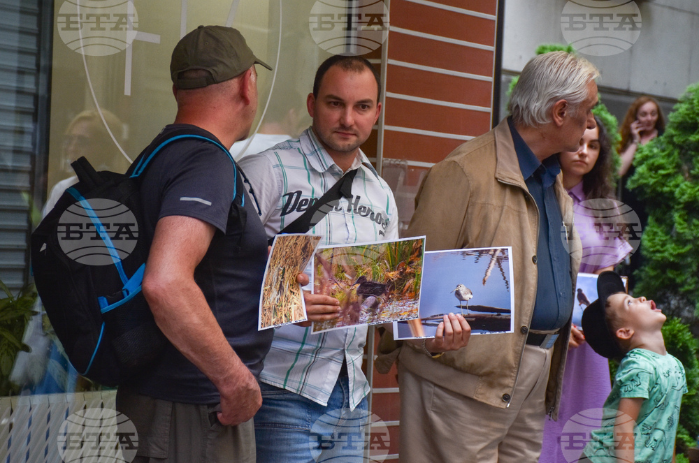 Протест - Боянско блато