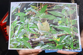 Протест - Боянско блато