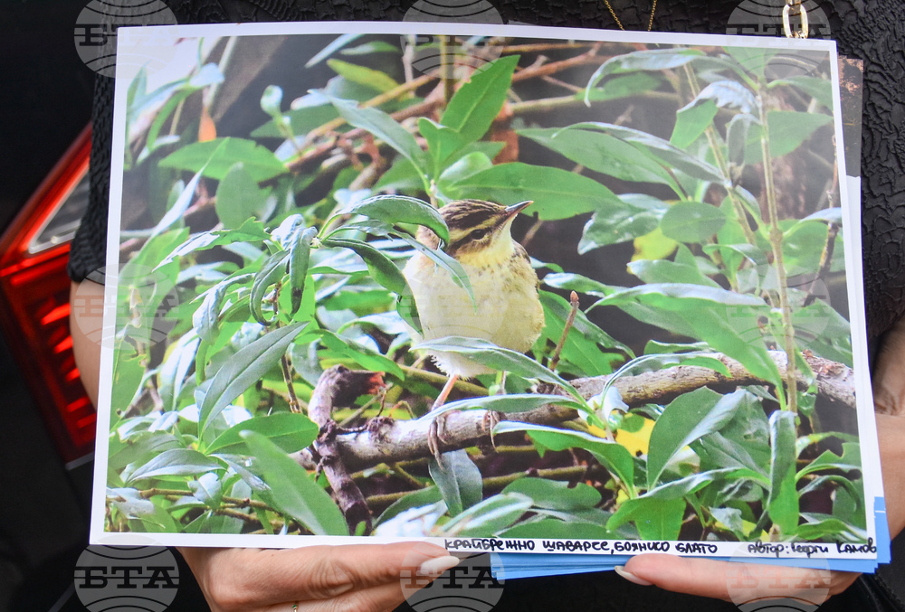 Протест - Боянско блато