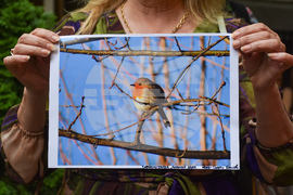 Протест - Боянско блато