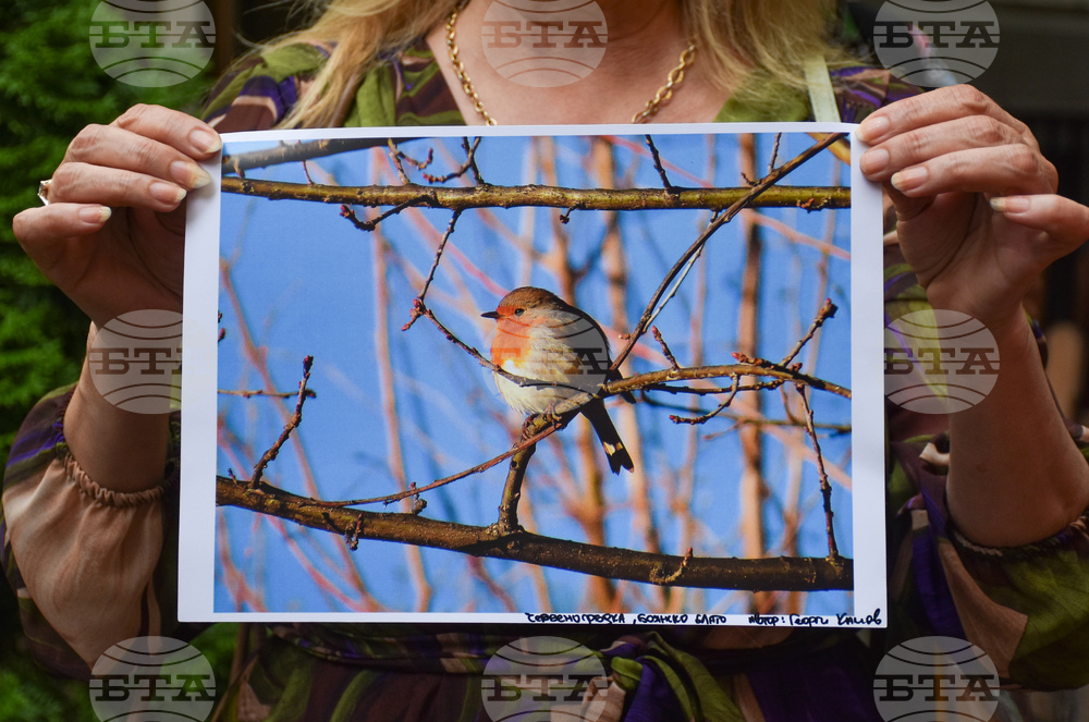 Протест - Боянско блато