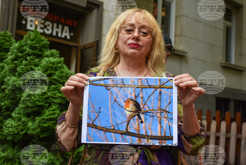 Протест - Боянско блато