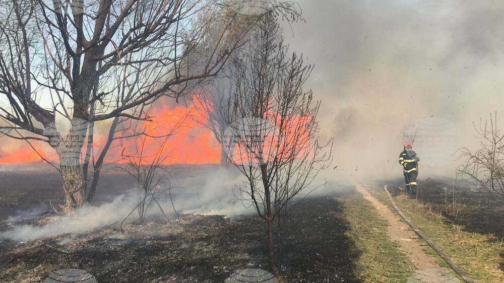 Голям горски пожар избухна в природен парк край Букурещ