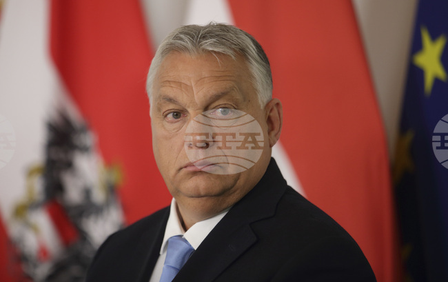 Правителството на Орбан е отпуснало 12 млн. евро на унгарски организации в сръбската област Войводина преди изборите, твърди унгарски портал