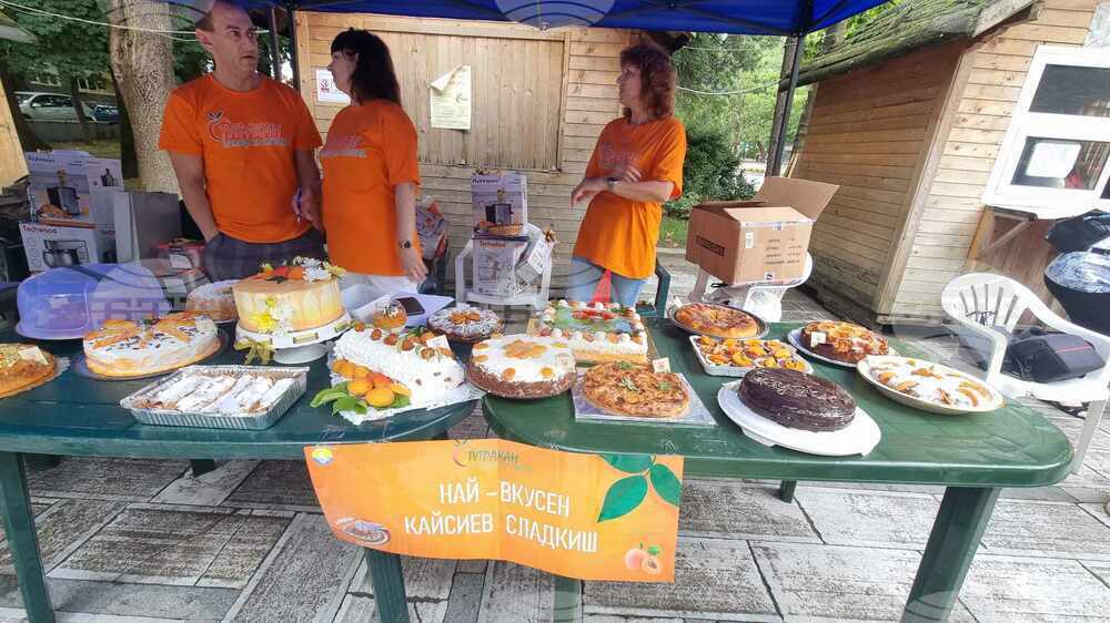В Тутракан организираха традиционния Празник на кайсията