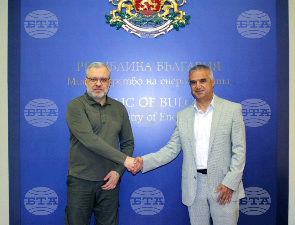 Bulgarian, Ukrainian Energy Ministers Launch Working Group to Boost Cooperation