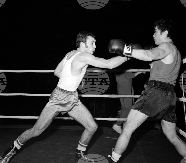 Ангел Ангелов (Гелето)