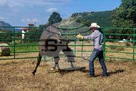 Село Горно поле - Кирил Вътев - фестивал