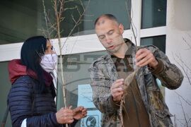 Благоевград – фиданки