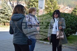 Благоевград – фиданки