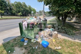 Северна Македония - предприятие за чистота - протест