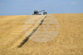 Село Китанчево - жътва