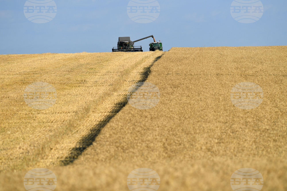 Село Китанчево - жътва