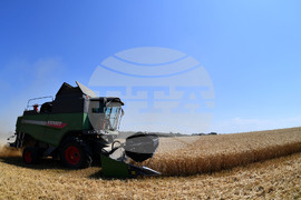 Село Китанчево - жътва