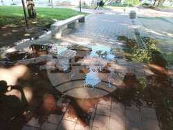 Снимка: Община Плевен