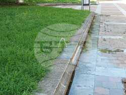 Снимка: Община Плевен