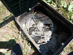 Снимка: Община Плевен