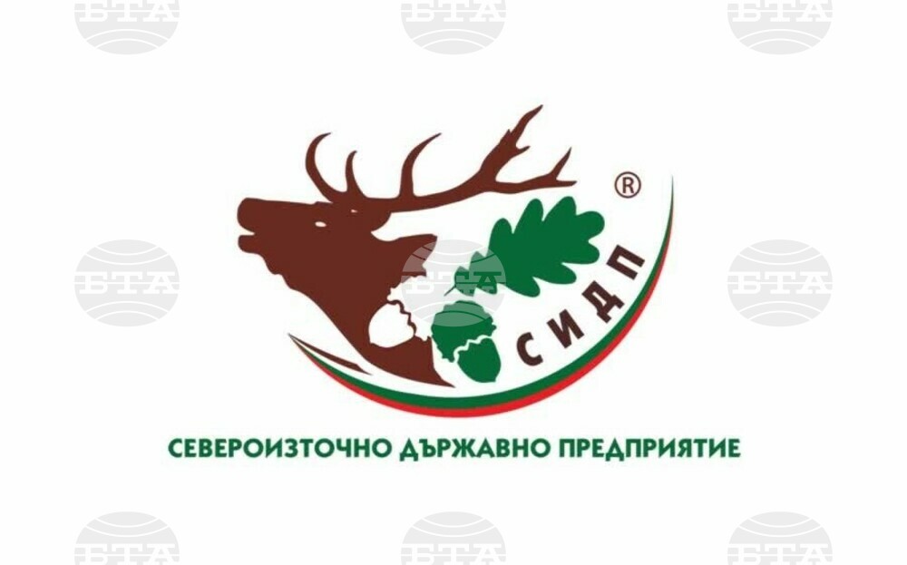 Североизточно държавно предприятие ДП Шумен: Седем пожара са горели на територията на СИДП през първите шест месеца на годината