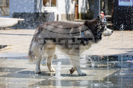 Бургас - горещо време