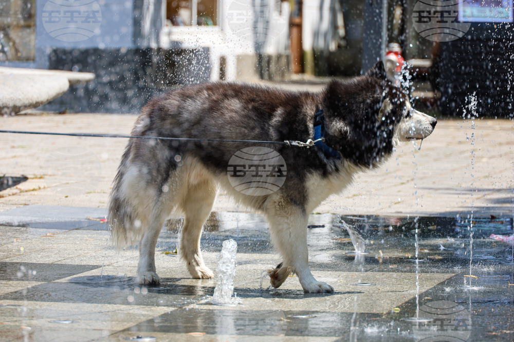 Бургас - горещо време