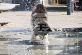 Бургас - горещо време