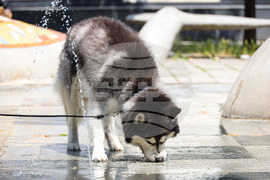 Бургас - горещо време