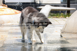 Бургас - горещо време