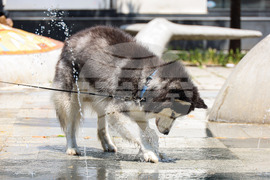Бургас - горещо време