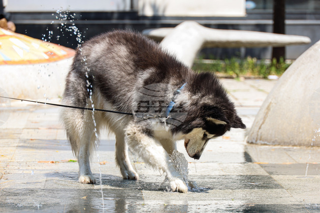 Бургас - горещо време