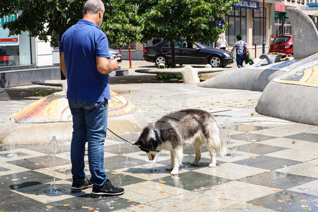 BG-ALERT ще бъде активирана в Бургаско отново в 16:00 ч. с превантивна цел заради високите температури и повишения риск от пожари