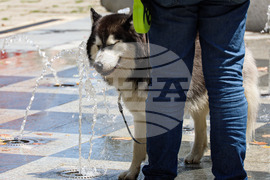 Бургас - горещо време
