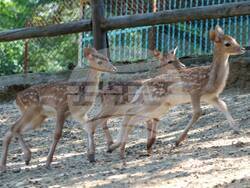 Снимка: Община Благоевград