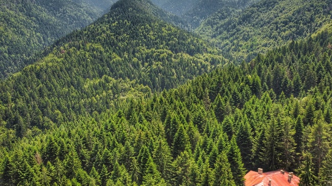Bulgaria Marks Parks Day