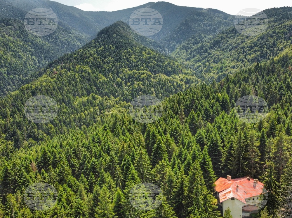 Село Костенец - Рила планина