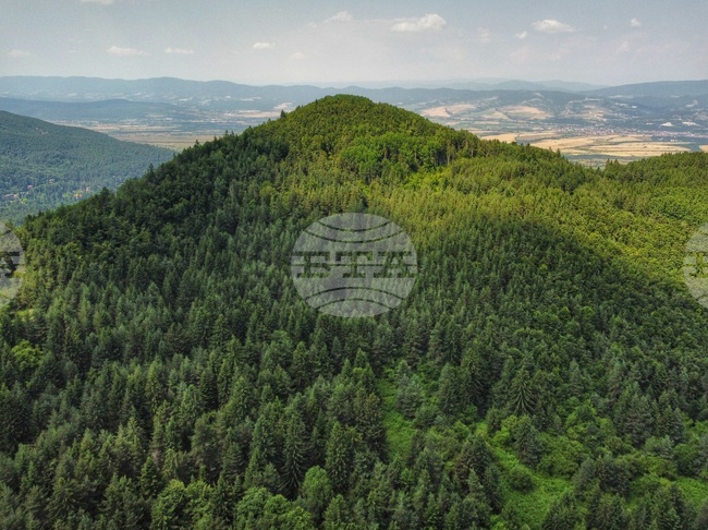 Forest Stewardship Council Opens Representative Office in Bulgaria