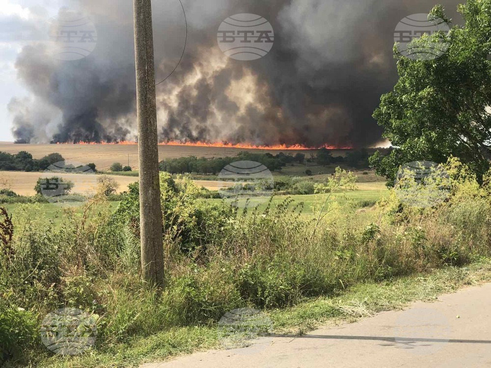 Огнеборци гасят голям пожар в житен блок в с. Сини вир, Шуменско