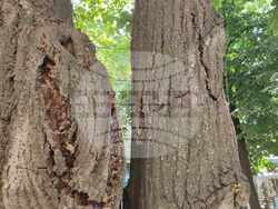 Снимка: Община Добрич 