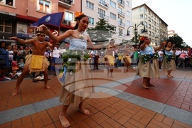 Международен фолклорен фестивал „Витоша“