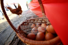 КНСБ - протест