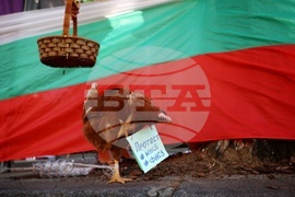 КНСБ - протест