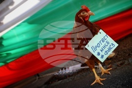 КНСБ - протест