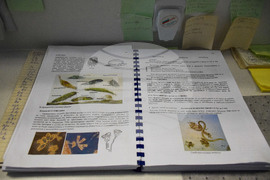 Банско - Пречиствателна станция за отпадни води