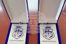 Видин - плакет